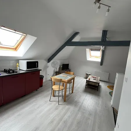 Appartement Avec Cours Saint-Brisson-sur-Loire Buitenkant foto